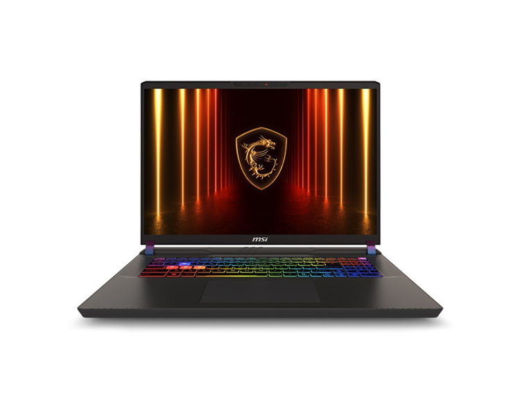 MSI SpecBuild 17 HX AI A2XWJG Ноутбук без сумки Vector 17 HX A2XWJG